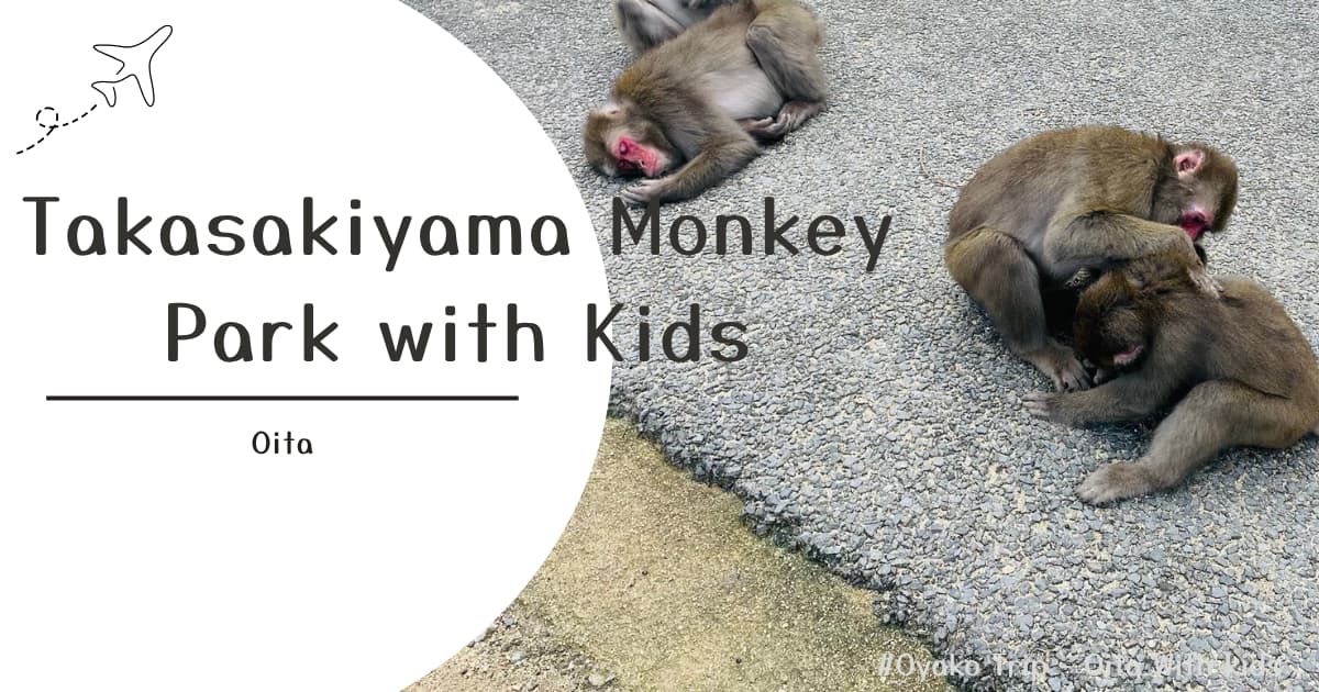 Takasakiyama Monkey Park Oita family guide with wild monkeys and kids