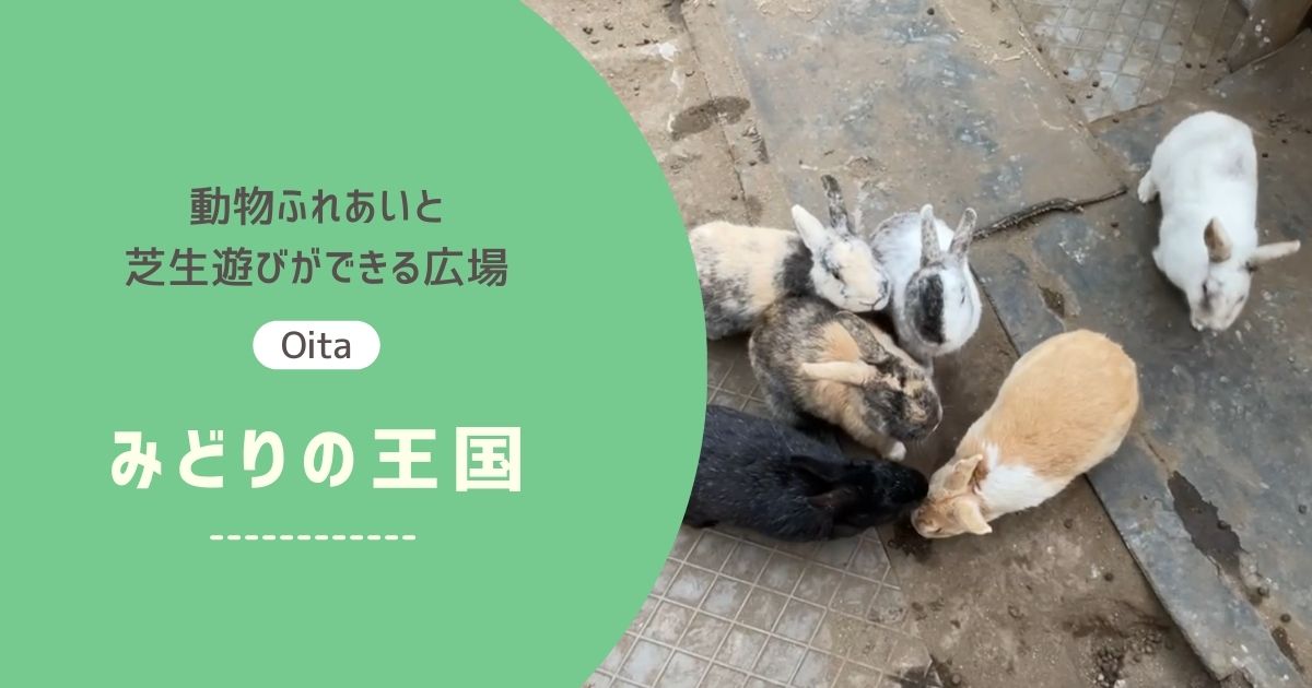 みどりの王国の芝生広場と動物ふれあいが楽しめる子連れ向け公園